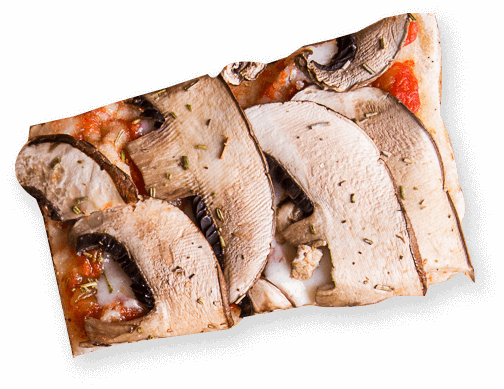 slice2
